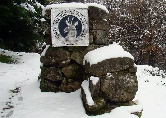 Pinho בית הארחה